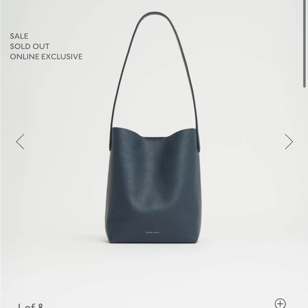 NWT Mansur Gavriel Small Everyday Cabas Bag Positano